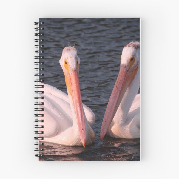 Item preview, PAIR OF PELICANS designed and sold by Cheryl Dunning.