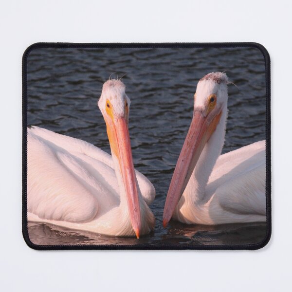 Item preview, PAIR OF PELICANS designed and sold by Cheryl Dunning.