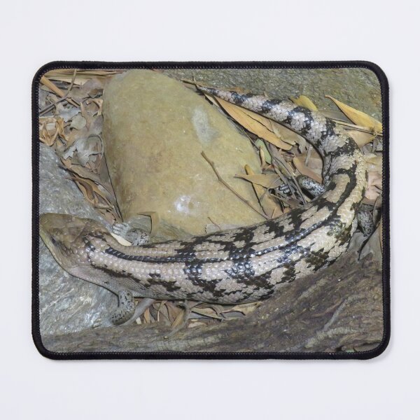 Item preview, Blotched blue tongue lizard designed and sold by greentiger1.