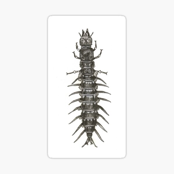 Larvae Merch & Gifts for Sale