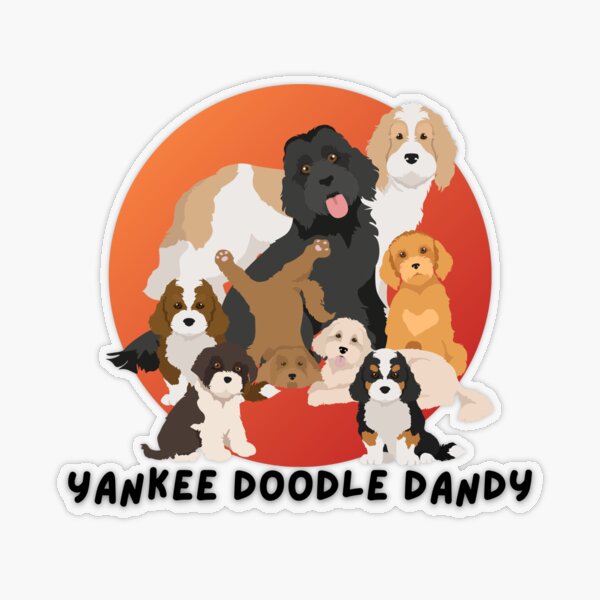 Yankee Doodle Dandy Cute Poodle Mixes Essential T-Shirt for Sale by  Write-to-Rebel