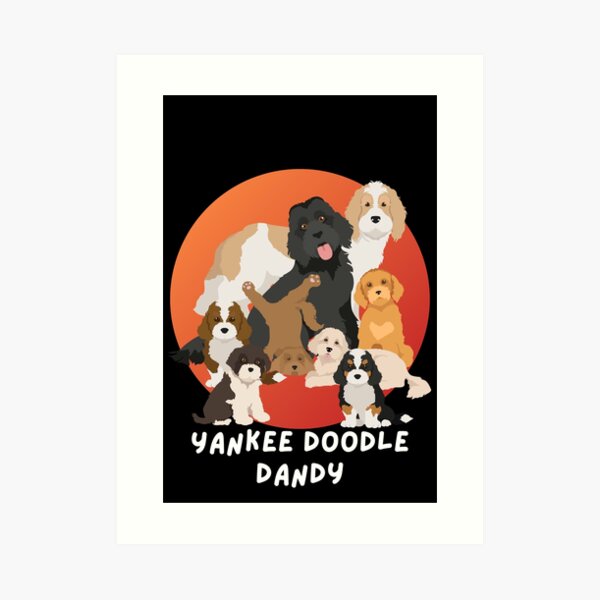 Yankee Doodle  Doodle dog, Cute animal pictures, Goldendoodle