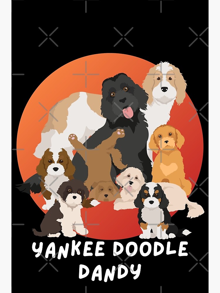 Yankee Doodle  Baseball drawings, Cartoon drawings, Drawings