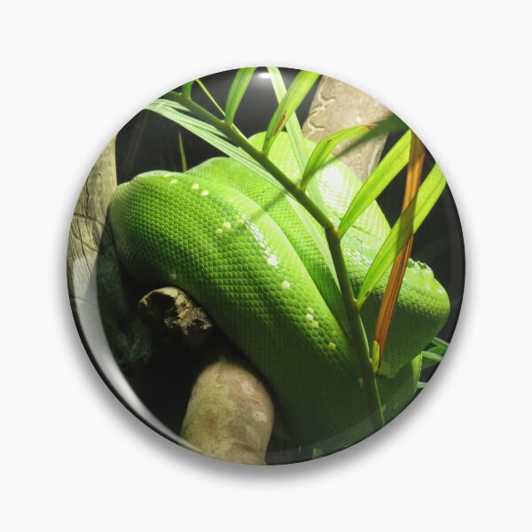 Item preview, Emerald tree python and palm tree designed and sold by greentiger1.