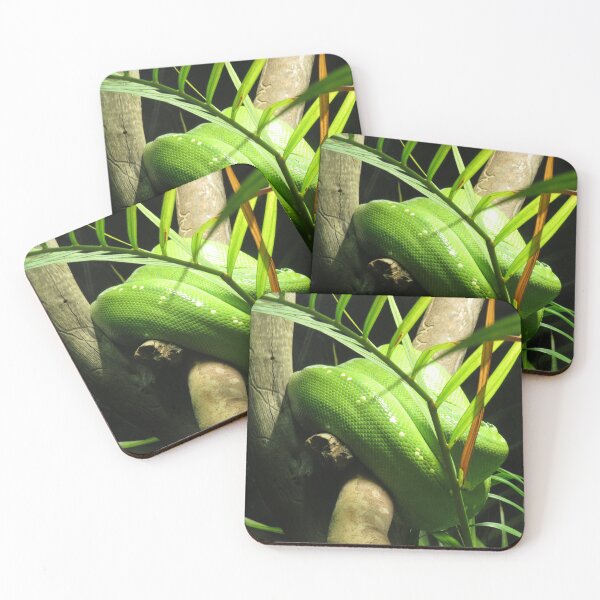 Item preview, Emerald tree python and palm tree designed and sold by greentiger1.
