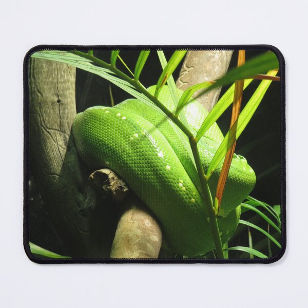 Item preview, Emerald tree python and palm tree designed and sold by greentiger1.