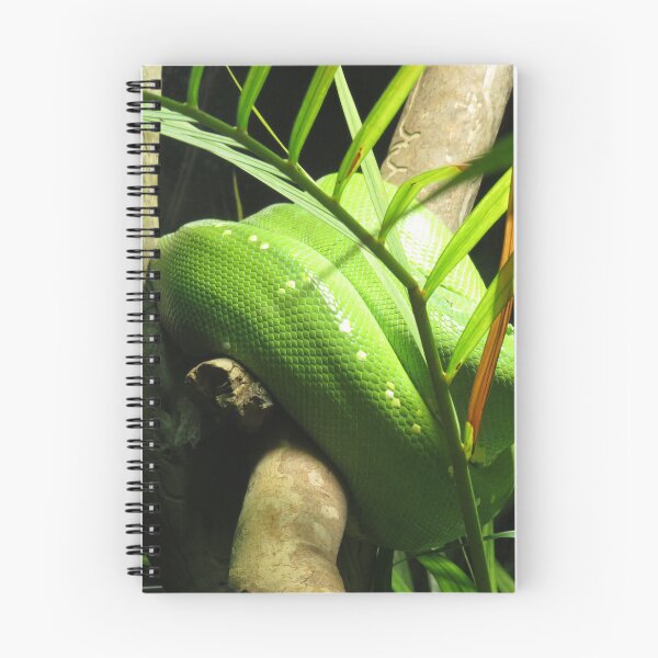 Item preview, Emerald tree python and palm tree designed and sold by greentiger1.