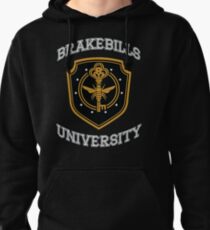 Magic U Pullover Hoodie