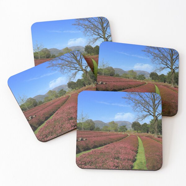 Item preview, Costermano German military cemetery designed and sold by annalisa56.