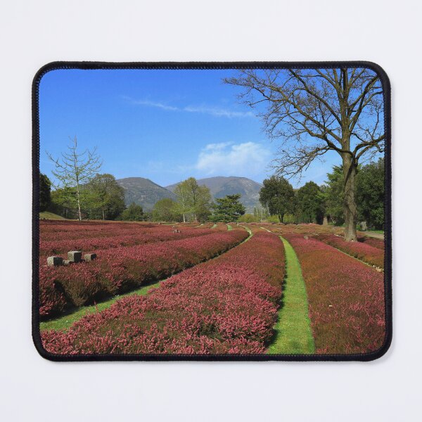 Item preview, Costermano German military cemetery designed and sold by annalisa56.