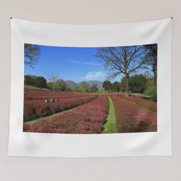 Item preview, Costermano German military cemetery designed and sold by annalisa56.