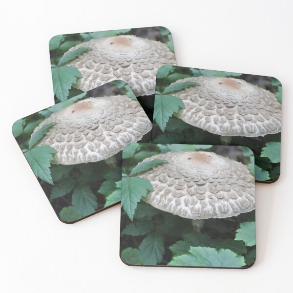 Item preview, The Forest Mushroom designed and sold by KirtTisdale.