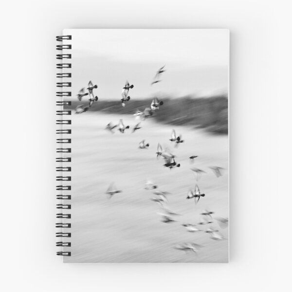 Item preview, Free as a Bird - Birds Photo Flock of Birds Flying Birds in Flight designed and sold by camera-euphoria.