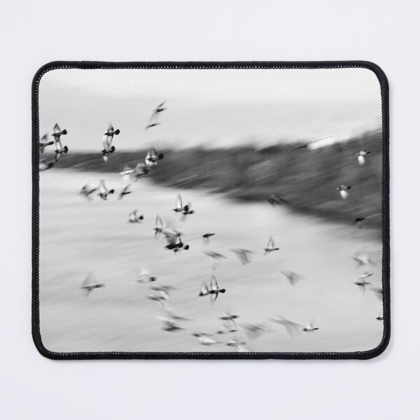 Item preview, Free as a Bird - Birds Photo Flock of Birds Flying Birds in Flight designed and sold by camera-euphoria.