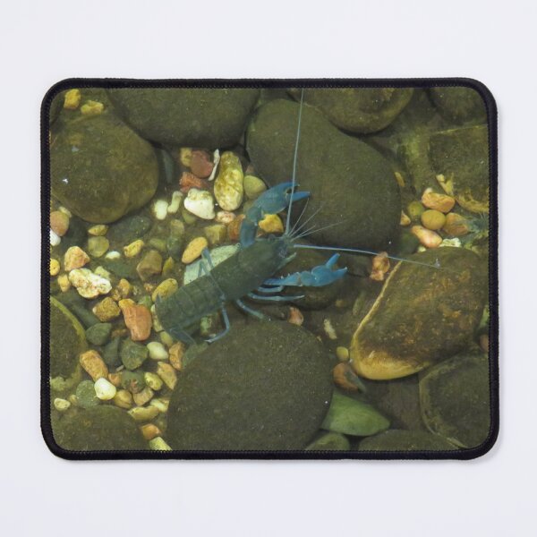 Item preview, Blue yabby designed and sold by greentiger1.