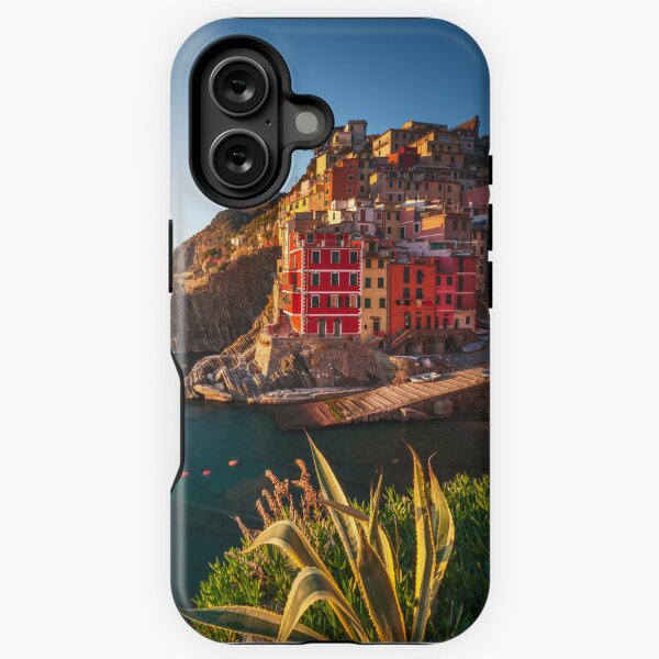 Aperçu de l'œuvre Ville de Riomaggiore et usine d'agave. Cinque Terre, Italie créée et vendue par Stefano Orazzini.