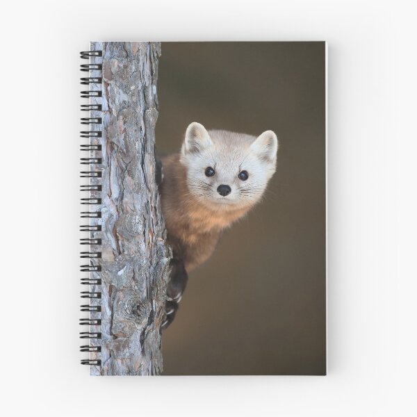 Item preview, Pine Marten designed and sold by mlorenz.