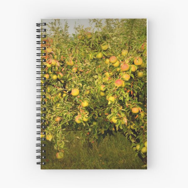 Item preview, Apples designed and sold by CameliaC.