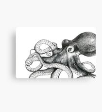 Octopus Canvas Print