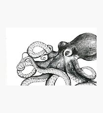 Octopus Photographic Print