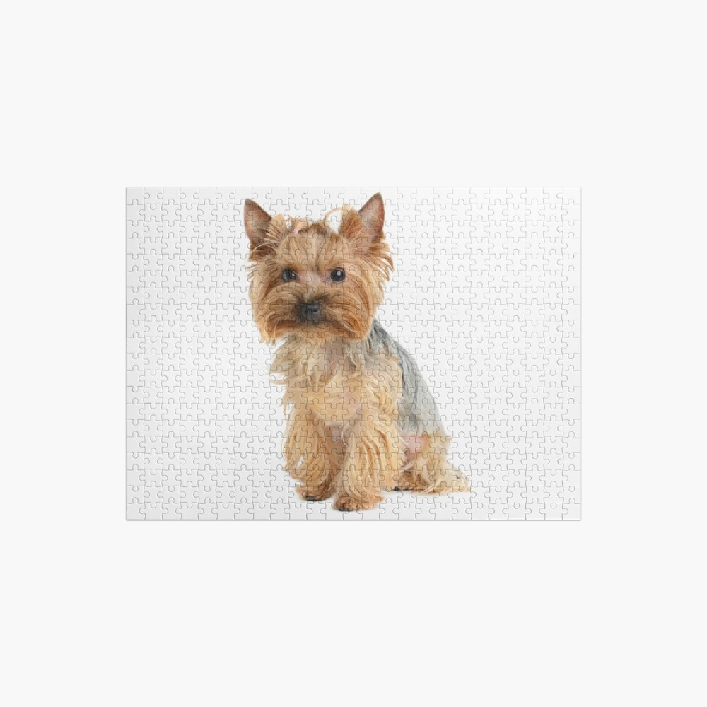 Shop My Pet Hairs Jigsaw Puzzle by PromoRedes JW-H2DTDV3O