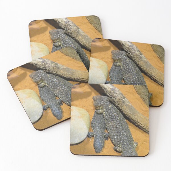 Item preview, Two shingleback lizards designed and sold by greentiger1.