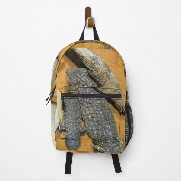 Item preview, Two shingleback lizards designed and sold by greentiger1.