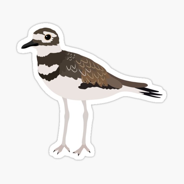 Artikel-Vorschau von Killdeer, designt und verkauft von kalibearco.