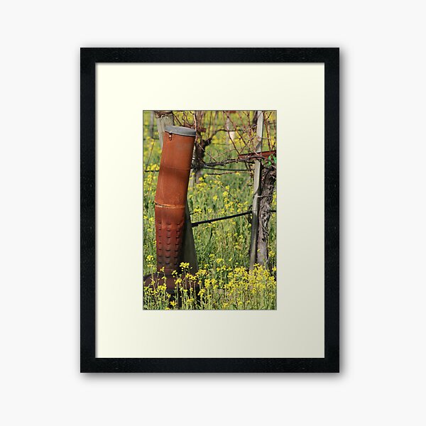 Fog Be Gone Framed Art Print