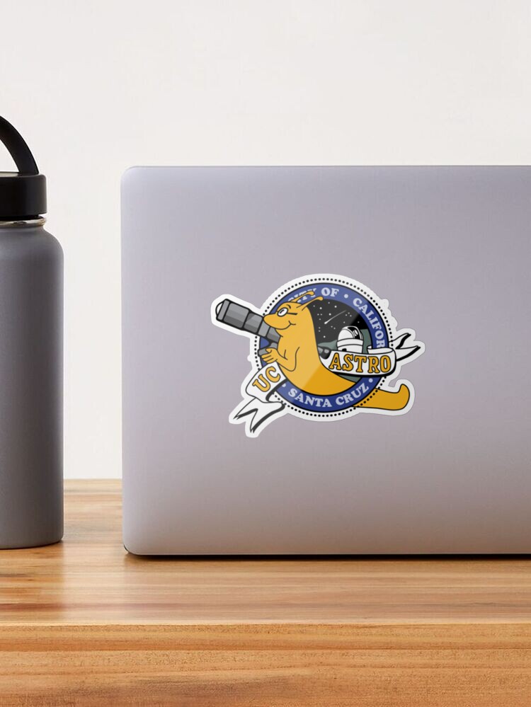 University Of California Santa Cruz Sticker Decal R8133
