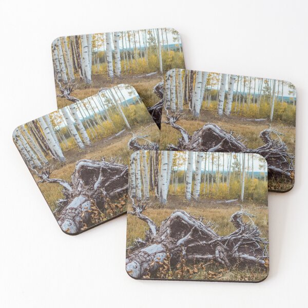 Item preview, Fallen Aspen Tree, Colorado designed and sold by Lostlogo.