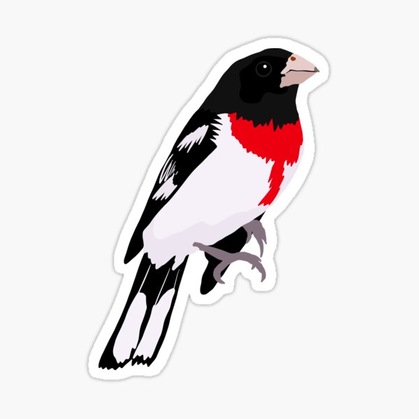 Item preview, Rose Breasted Grosbeak designed and sold by kalibearco.