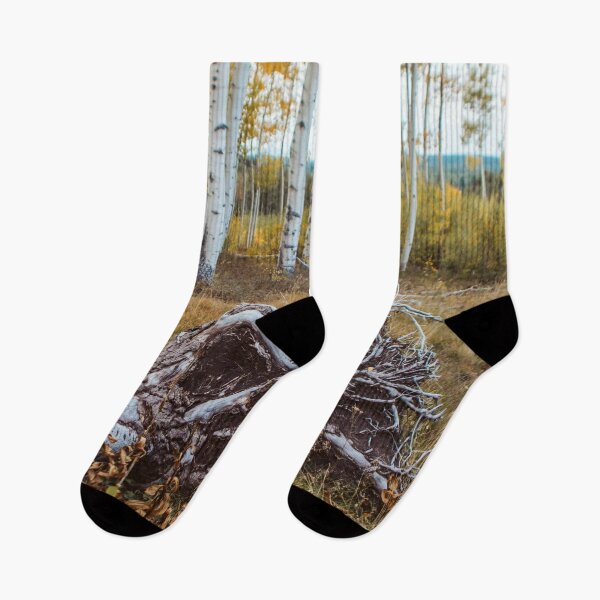 Item preview, Fallen Aspen Tree, Colorado designed and sold by Lostlogo.