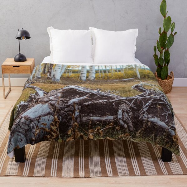 Item preview, Fallen Aspen Tree, Colorado designed and sold by Lostlogo.