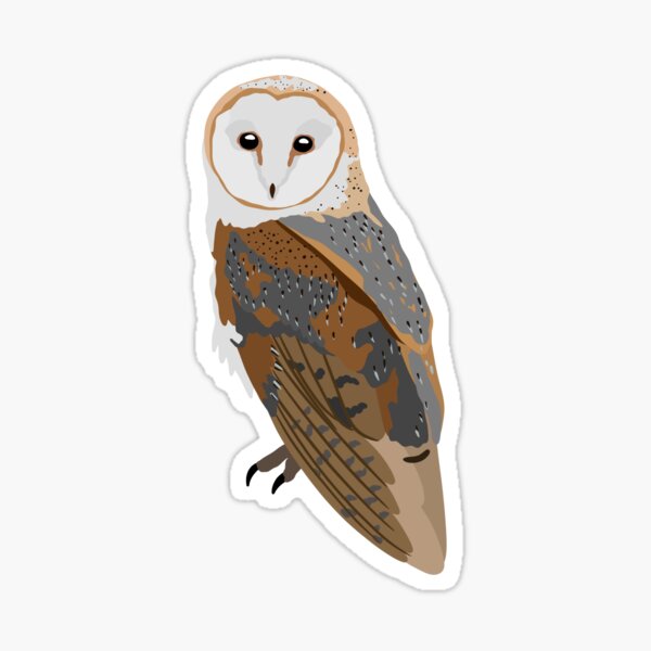 Item preview, Barn Owl designed and sold by kalibearco.