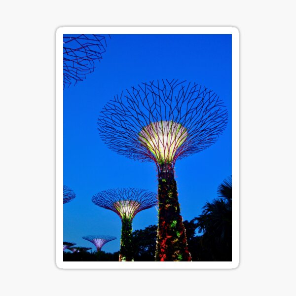 Supertree Grove Gardens, Singapore  Sticker