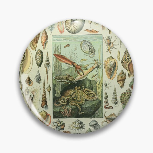 Item preview, Adolphe Millot Mollusques - Vintage Mullosk Illustration designed and sold by molamode.