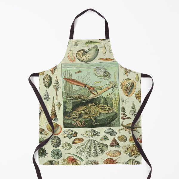 Item preview, Adolphe Millot Mollusques - Vintage Mullosk Illustration designed and sold by molamode.