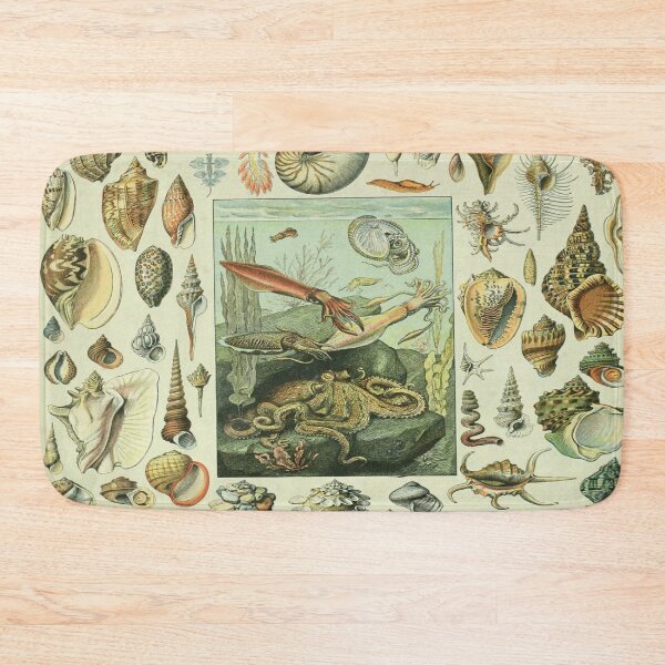 Item preview, Adolphe Millot Mollusques - Vintage Mullosk Illustration designed and sold by molamode.
