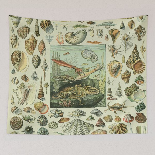 Item preview, Adolphe Millot Mollusques - Vintage Mullosk Illustration designed and sold by molamode.