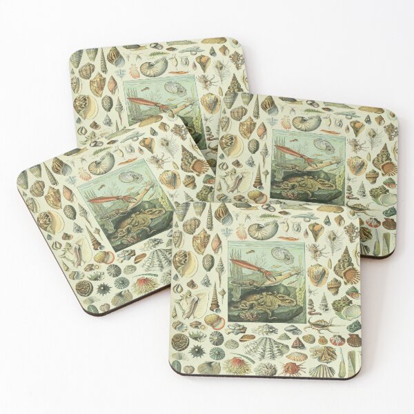 Item preview, Adolphe Millot Mollusques - Vintage Mullosk Illustration designed and sold by molamode.