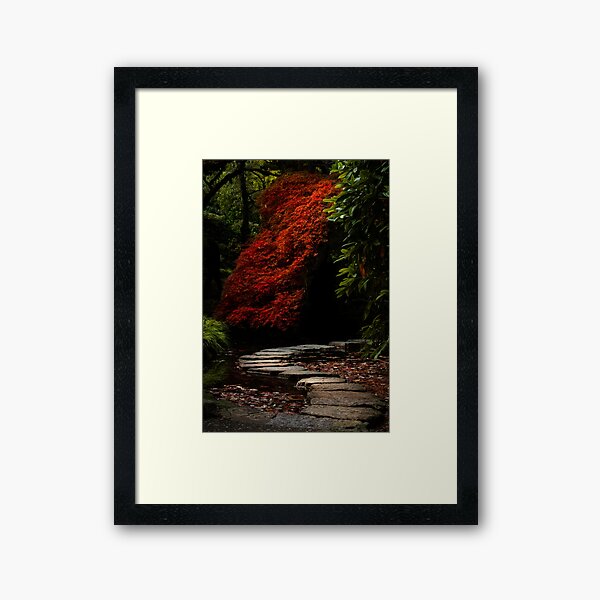 Item preview, Fall Japanese Maple Garden designed and sold by JenneRPhoto.
