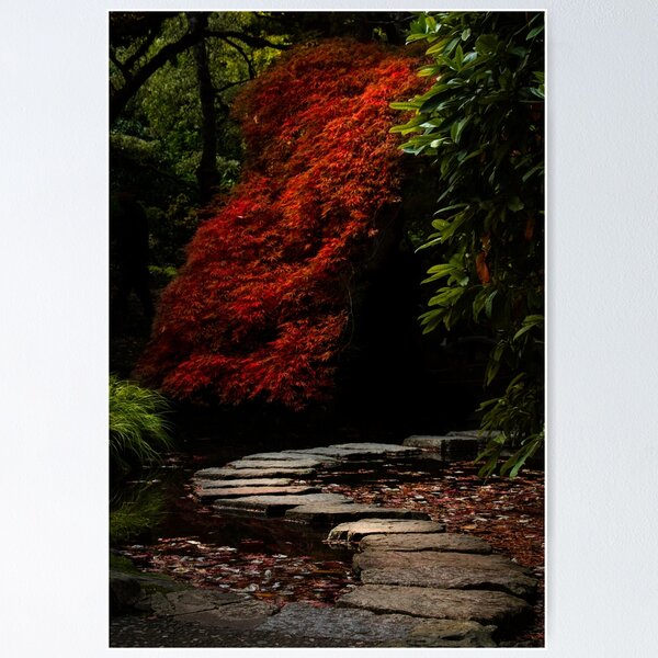 Item preview, Fall Japanese Maple Garden designed and sold by JenneRPhoto.