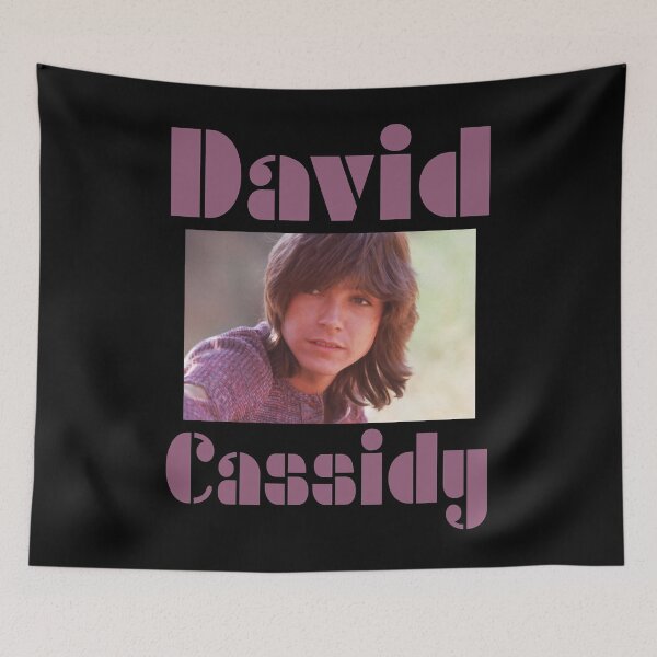 Item preview, David Cassidy designed and sold by CarlDMoaning0.