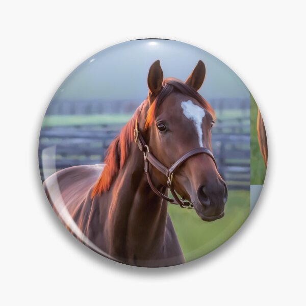 Item preview, Thoroughbred filly designed and sold by Mimi Foley.