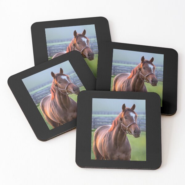 Item preview, Thoroughbred filly designed and sold by Mimi Foley.