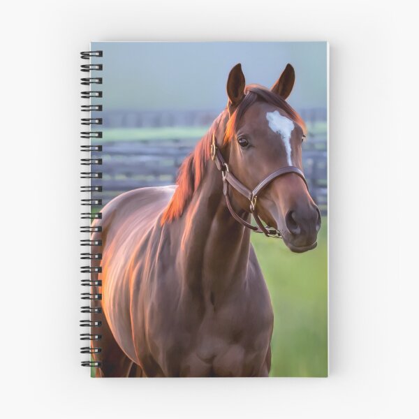 Item preview, Thoroughbred filly designed and sold by Mimi Foley.