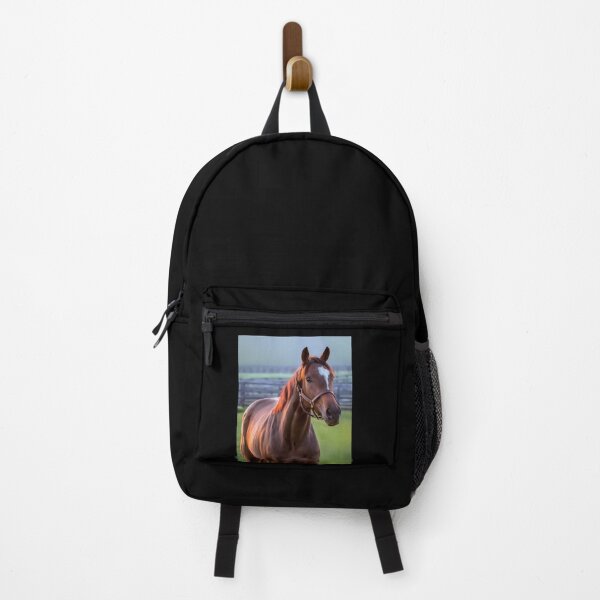 Item preview, Thoroughbred filly designed and sold by Mimi Foley.