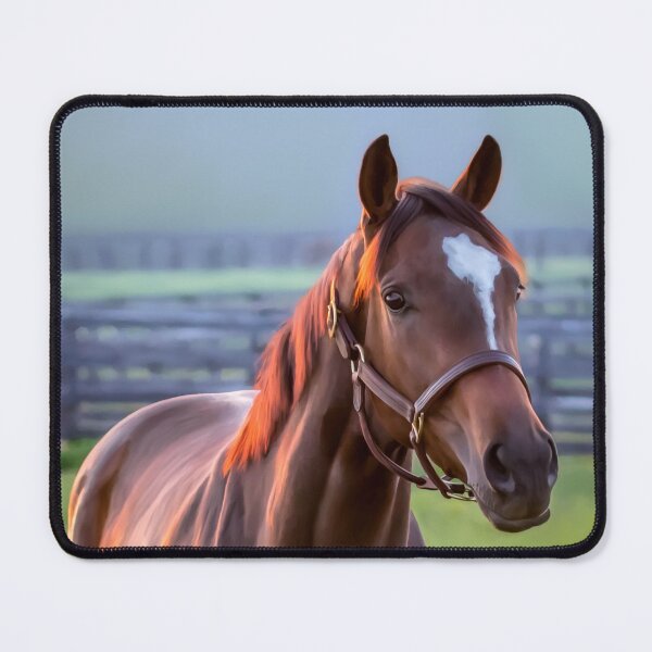 Item preview, Thoroughbred filly designed and sold by Mimi Foley.