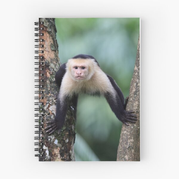 Item preview, Monkey Business designed and sold by mlorenz.
